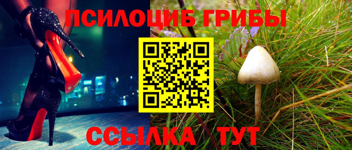 Уфа  Галлюциногенные грибы Magic Shrooms  Вход с VPN 
